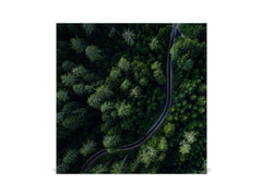 Wall Mounted Key Holder and Magnetic Dry-Erase Glass Board KN19 Miscellaneous Series : Forest road