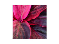 Decorative Key Box with Magnetic Glass Dry-Erase Board KN14 Nature series : Fluorescent leaves