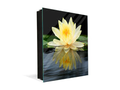 Decorative Key Box with Magnetic Glass Dry-Erase Board KN14 Nature series : Beautiful water lilly flower 2