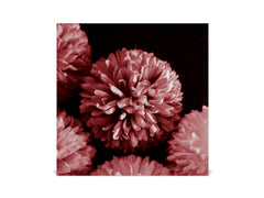 Decorative Key Box with Magnetic Glass Dry-Erase Board KN14 Nature series : Pink flower frame