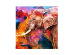 Decorative Key Organizer with Magnetic Surface Dry-Erase Board KN17 Animals Series : Colourful elephant