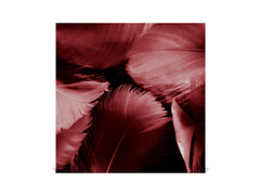 Key Cabinet Storage Box with Frameless Glass White Board KN16 Textures Series : White and red feathers