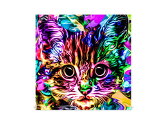 Decorative Key Organizer with Magnetic Surface Dry-Erase Board KN17 Animals Series : Colourful cat