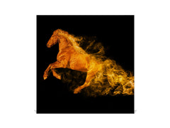 Decorative Key Organizer with Magnetic Surface Dry-Erase Board KN17 Animals Series : Wild horse