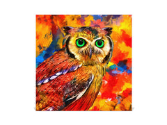 Decorative Key Organizer with Magnetic Surface Dry-Erase Board KN17 Animals Series : Colourful owl