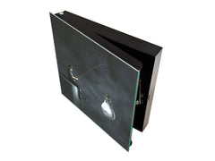 Decorative Key Box with Magnetic Glass Whiteboard – Stylish Home Organizer –Multi-Functional Key Cabinet with Glass Markerboard – Wall Organizer for Home & Office - KN23 Abstract Concepts Series 2 : Fishing new ideas