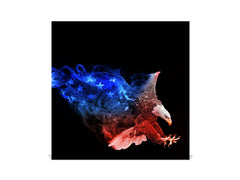 Decorative Key Organizer with Magnetic Surface Dry-Erase Board KN17 Animals Series : Colourful eagle