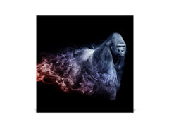 Decorative Key Organizer with Magnetic Surface Dry-Erase Board KN17 Animals Series : Colourful gorilla