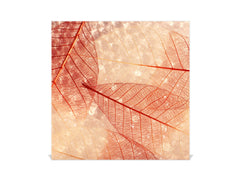 Decorative Key Box with Magnetic Glass Dry-Erase Board KN14 Nature series : Transparent orange leaves