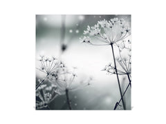 Decorative Key Box with Magnetic Glass Memo Board - Tempered Glass Wall Art - KN21 Abstract Concepts Series 1 : Winter Flower Scene