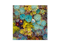 Decorative Key Box with Magnetic Glass Dry-Erase Board KN14 Nature series : Rock garden 1