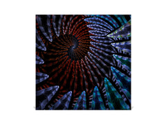 Armadietto moderno per chiavi con motivo a scelta K01 Linee concentriche