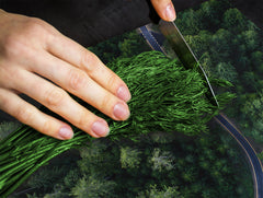 GIGANTE ASSE DA CUCINA e Copri-piano cottura a induzione; Serie di vini DD04: Ciliegie 7