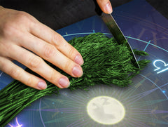 Couvre-plaques de cuisson; D04 Série Boissons Cerises 7