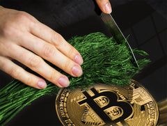 Schneidbrett aus Hartglas und schützende Arbeitsoberfläche D04 Drinks Series: Cherries 7