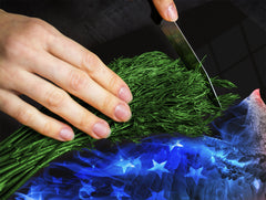 Induction Cooktop Cover Kitchen Board – Impact Resistant Glass Pastry Board; MEASURES: SINGLE: 60 x 52 cm (23,62” x 20,47”); DOUBLE: 30 x 52 cm (11,81” x 20,47”); D37 Animals Series : Colourful eagle