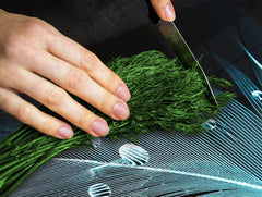 GIGANTE ASSE DA CUCINA e Copri-piano cottura a induzione; Serie di vini DD04: Ciliegie 7