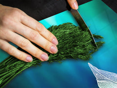 Tempered GLASS Cutting Board – Worktop saver and Pastry Board –- Glass Kitchen Board; MEASURES: SINGLE: 60 x 52 cm (23,62” x 20,47”); DOUBLE: 30 x 52 cm (11,81” x 20,47”); D34 Nature Series: Leaf on a mirror surface 2