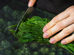 ENORMOUS Tempered GLASS Chopping Board - Induction Cooktop Cover – SINGLE: 80 x 52 cm; DOUBLE: 40 x 52 cm; DD49 Miscellaneous series : Forest road