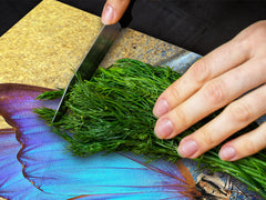 BIG KITCHEN BOARD & Induction Cooktop Cover β Glass Pastry Board β SINGLE: 80 x 52 cm (31,5β x 20,47β); DOUBLE: 40 x 52 cm (15,75β x 20,47β); DD47 Animals Series : Tropical butterfly 2