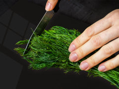 BIG KITCHEN BOARD & Induction Cooktop Cover – Glass Pastry Board – SINGLE: 80 x 52 cm (31,5” x 20,47”); DOUBLE: 40 x 52 cm (15,75” x 20,47”); DD47 Animals Series : Wild horse