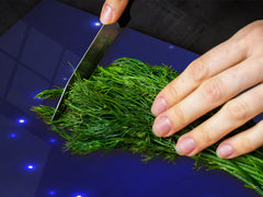 Enorme Cubre vitros de cristal templado - Serie de alimentos DD16 Comida Africa