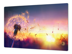 Gigantic Worktop saver and Pastry Board - Tempered GLASS Cutting Board - MEASURES: SINGLE: 80 x 52 cm; DOUBLE: 40 x 52 cm; DD44 Nature series : Sunset dandelion