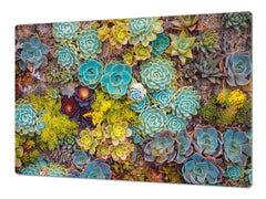 Gigantic Worktop saver and Pastry Board - Tempered GLASS Cutting Board - MEASURES: SINGLE: 80 x 52 cm; DOUBLE: 40 x 52 cm; DD44 Nature series : Rock garden 1