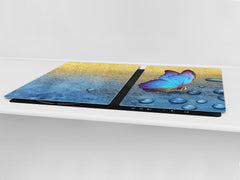 BIG KITCHEN BOARD & Induction Cooktop Cover β Glass Pastry Board β SINGLE: 80 x 52 cm (31,5β x 20,47β); DOUBLE: 40 x 52 cm (15,75β x 20,47β); DD47 Animals Series : Tropical butterfly 2