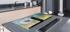 Gigantic Worktop saver and Pastry Board - Tempered GLASS Cutting Board - MEASURES: SINGLE: 80 x 52 cm; DOUBLE: 40 x 52 cm; DD44 Nature series : Dandelion