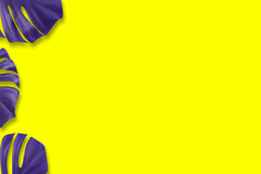 Tableau Blanc Métallique Moderne, Tableau Mémo Effaçable à Sec Design pour Bureau à Domicile