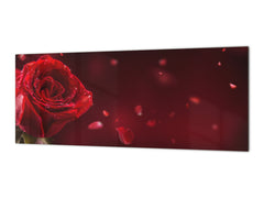 Design glass backsplash - Tempered Glass BBS29 w/wo magnetic properties splashback : Nature Series : Romantic red rose