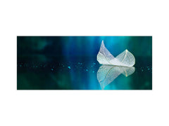 Design glass backsplash - Tempered Glass BBS29 splashback w/wo magnetic properties : Nature Series : Leaf on a mirror surface 2