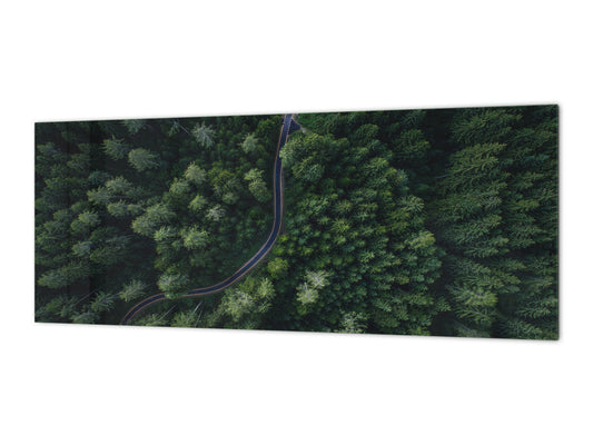 Wide format Wall panel - Design backsplash BBS34 w/wo magnetic properties : Miscellaneous series : Forest road