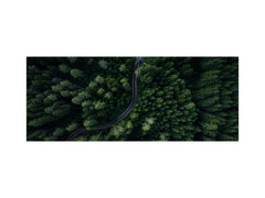 Wide format Wall panel - Design backsplash BBS34 w/wo magnetic properties : Miscellaneous series : Forest road