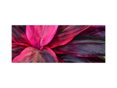 Design glass backsplash - Tempered Glass BBS29 splashback w/wo magnetic properties : Nature Series : Fluorescent leaves