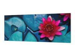 Design glass backsplash - Tempered Glass BBS29 splashback w/wo magnetic properties : Nature Series : Pink lotus flower