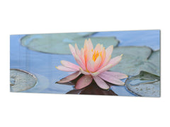 Design glass backsplash - Tempered Glass BBS29 splashback w/wo magnetic properties : Nature Series : Beautiful water lilly flower 1