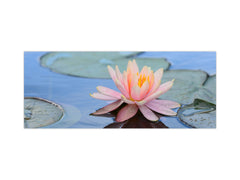 Design glass backsplash - Tempered Glass BBS29 splashback w/wo magnetic properties : Nature Series : Beautiful water lilly flower 1