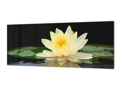 Design glass backsplash - Tempered Glass BBS29 splashback w/wo magnetic properties : Nature Series : Beautiful water lilly flower 2