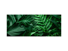 Design glass backsplash - Tempered Glass BBS29 splashback w/wo magnetic properties : Nature Series : Dark tropical nature