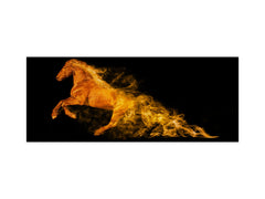 Stunning glass wall art - Wide format kitchen backsplash BBS32 w/wo magnetic properties : Animals series : Wild horse