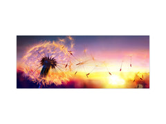 Design glass backsplash - Tempered Glass BBS29 splashback w/wo magnetic properties : Nature Series : Sunset dandelion