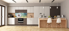 Design glass backsplash - Tempered Glass BBS29 splashback w/wo magnetic properties : Nature Series : Dandelion