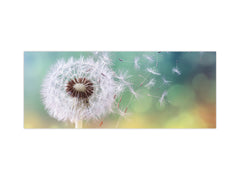 Design glass backsplash - Tempered Glass BBS29 splashback w/wo magnetic properties : Nature Series : Dandelion