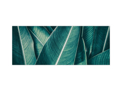 Design glass backsplash - Tempered Glass BBS29 splashback w/wo magnetic properties : Nature Series : Tropical leaves texture