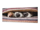 Atemberaubende Glaswandkunst – Breitformatige Küchenrückwand BBS32 mit/ohne magnetische Eigenschaften: Tierserie: Schlafende Hunde