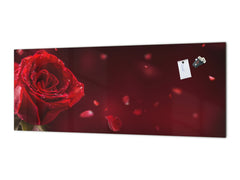 Design glass backsplash - Tempered Glass BBS29 w/wo magnetic properties splashback : Nature Series : Romantic red rose