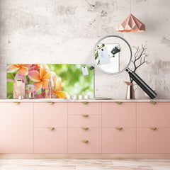 Design glass backsplash - Tempered Glass BBS29 splashback w/wo magnetic properties : Nature Series : Frangipani flower