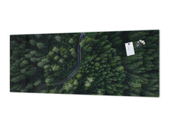 Wide format Wall panel - Design backsplash BBS34 w/wo magnetic properties : Miscellaneous series : Forest road